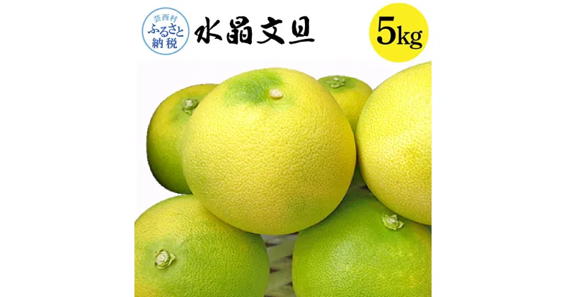 【ふるさと納税】高知県産 水晶文旦 5kg 5キロ 文旦 ブンタン ぶんたん 柑橘 かんきつ 蜜柑 みかん 柑橘類 フルーツ 果物 くだもの デザート おやつ 爽やか 甘い あまい ジュース スイーツ 美味しい おいしい 常温 配送 芸西村 ふるさとのうぜい 故郷納税 返礼品