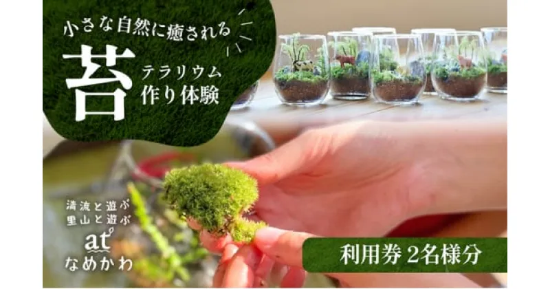 【ふるさと納税】小さな自然に癒される【苔テラリウム作り体験】利用券　 チケット 体験チケット 体験型 グリーンアイテム インテリア 物づくり 癒し 置物 植物