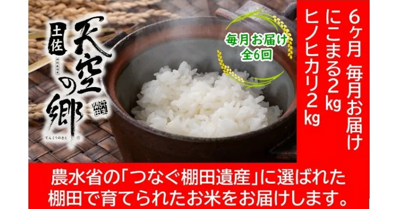 【ふるさと納税】農林水産省の「つなぐ棚田遺産」に選ばれた棚田で育てられた棚田米 土佐天空の郷 2kg食べくらべセット定期便 毎月お届け 全6回　定期便・お米・ヒノヒカリ・米/にこまる