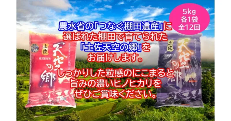 【ふるさと納税】2010年・2016年 お米日本一コンテスト inしずおか 特別最高金賞受賞 土佐天空の郷 にこまる 5kg定期便　隔月お届け　全6回　定期便・米/にこまる