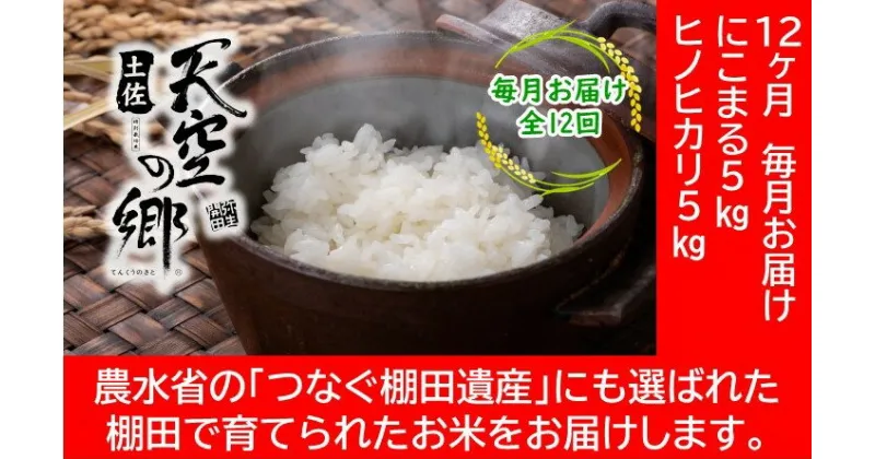 【ふるさと納税】農林水産省の「つなぐ棚田遺産」に選ばれた棚田で育てられた 棚田米 土佐天空の郷 5kg食べくらべセット定期便 毎月お届け 全12回　定期便・お米・ヒノヒカリ・にこまる