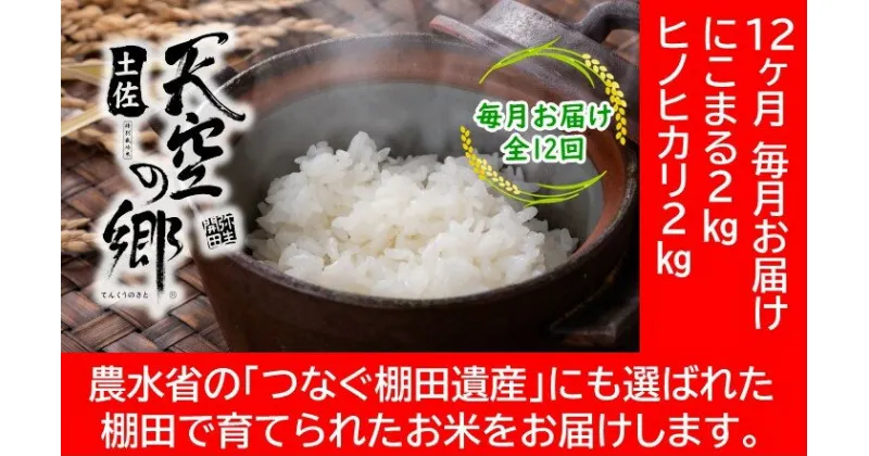 【ふるさと納税】農林水産省の「つなぐ棚田遺産」に選ばれた棚田で育てられた 棚田米 土佐天空の郷　2kg食べくらべセット定期便 毎月お届け 全12回　定期便・お米・ヒノヒカリ・にこまる