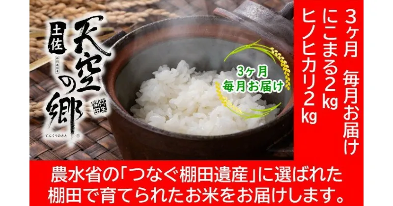 【ふるさと納税】農林水産省の「つなぐ棚田遺産」に選ばれた棚田で育てられた 棚田米土佐天空の郷　2kg食べくらべセット定期便 毎月お届け 全3回　定期便・ お米 ヒノヒカリ 米 食べくらべ 大粒 もちもち