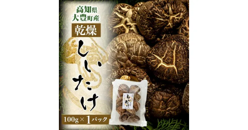 【ふるさと納税】高知県大豊町産　乾燥しいたけ　100g×1パック【1333391】