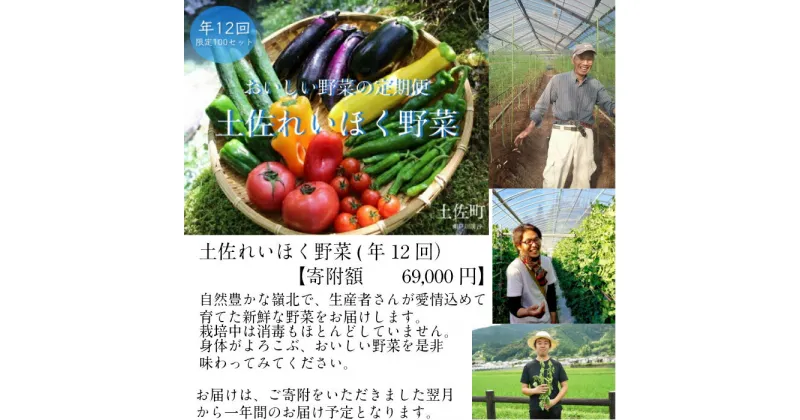 【ふるさと納税】土佐れいほく野菜（年12回）