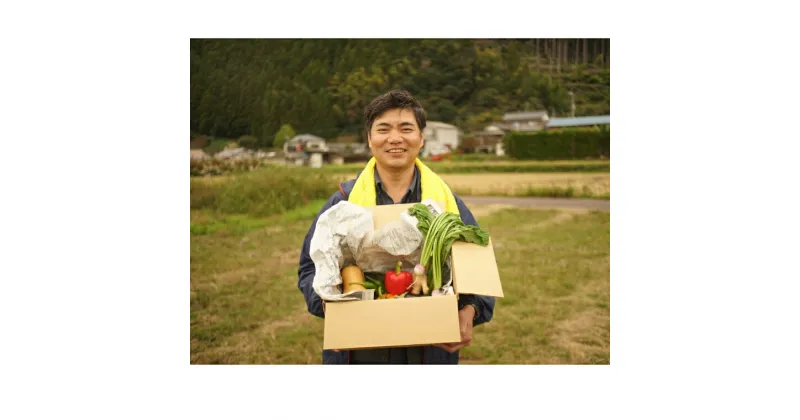 【ふるさと納税】土佐れいほく野菜（3回お届け）