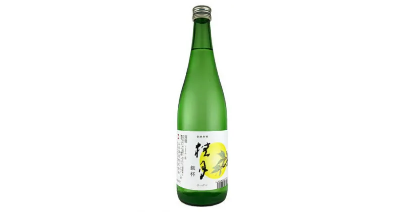 【ふるさと納税】日本酒(桂月銀杯) 720ml