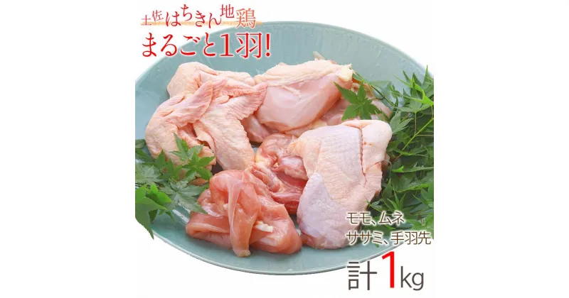 【ふるさと納税】土佐はちきん地鶏 まるごと一羽おためしセット 約1kg もも肉 むね肉 ささみ 手羽先 手羽元 地鶏 モモ肉 ムネ肉 胸肉 ササミ 鶏肉 とり肉 とりにく 肉 高知県 大川村 F6R-010