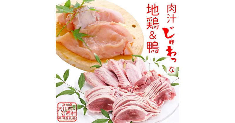 【ふるさと納税】【大川村と芸西村の共通返礼品】はちきん地鶏 むね肉 1kg＆土佐鴨 鴨鍋肉（4～5人前）セット 地鶏 ムネ肉 胸肉 鶏肉 鴨 鴨肉 かも肉 とり肉 とりにく 肉 高知県 大川村 F6R-013