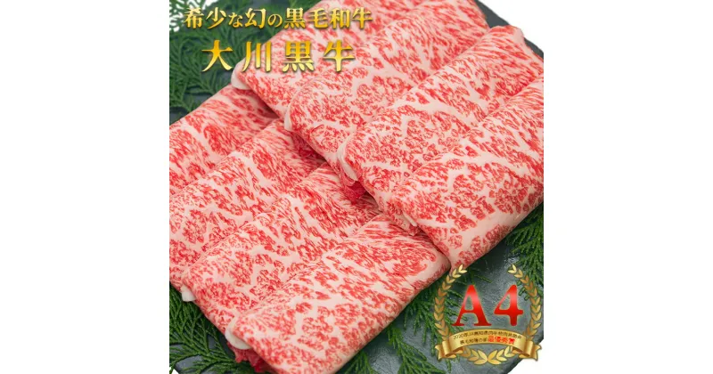 【ふるさと納税】国産黒毛和牛 大川黒牛 ロース すき焼き用 スライス A4（250g×2パック） 国産 黒毛和牛 A4 ロース 牛肉 すき焼き 高知県 大川村 F6R-024