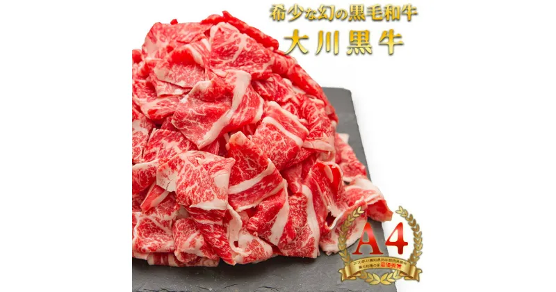 【ふるさと納税】国産黒毛和牛 大川黒牛 切り落とし A4（250g×2パック） 国産 黒毛和牛 A4 切り落とし 牛肉 高知県 大川村 F6R-020