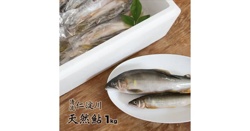 【ふるさと納税】フレッシュマートキシモトさんの天然鮎（冷凍）1kg　川魚 友釣 しゃくり グリル アユ あゆ 若鮎 使いやすい 調理 塩焼き 甘露煮 天然 産地直送