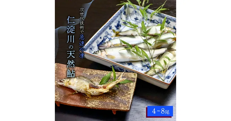 【ふるさと納税】仁淀川の天然鮎（4匹〜8匹)★冷凍 川魚 友釣 しゃくり グリル アユ 冷凍 あゆ 若鮎 使いやすい 調理 塩焼き 甘露煮 天然 産地直送