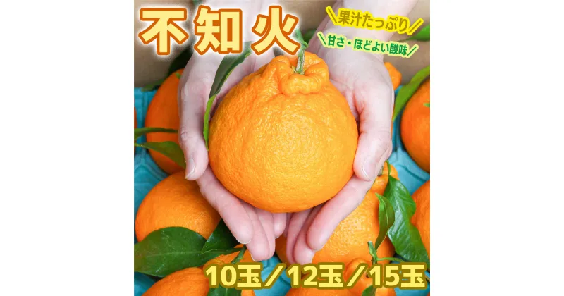 【ふるさと納税】柑橘・みかん　しらぬい（不知火）3kg　　15玉サイズ