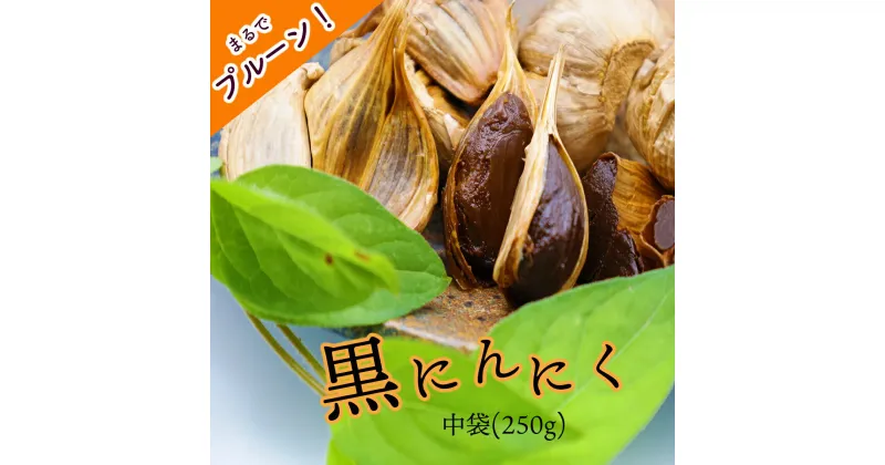 【ふるさと納税】黒にんにく「土佐の隠し玉」　1袋×250g