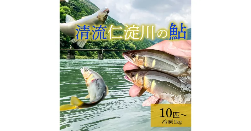 【ふるさと納税】鮮度にこだわり！仁淀鮎★10尾〜（冷凍1kg）★　川魚 アユ あゆ 若鮎 使いやすい 調理 塩焼き 甘露煮 天然 産地直送