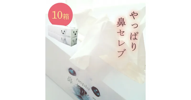 【ふるさと納税】ネピア 鼻セレブボックスティッシュ （10箱） 保湿ティッシュ 花粉症 痛くない ティッシュ ソフト 保湿 鼻炎 対策