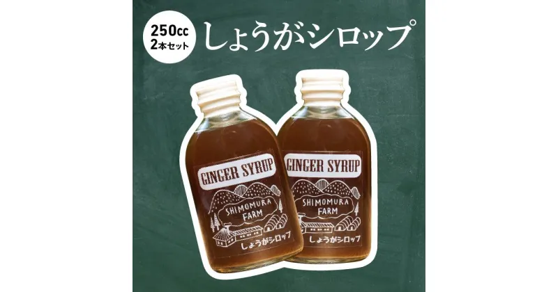 【ふるさと納税】 しょうが シロップ 2本 セット レシピ付き 中土佐町産 しょうがシロップ 生姜 農薬不使用 ジンジャーシロップ ジンジャーエール おすすめ 高知 中土佐