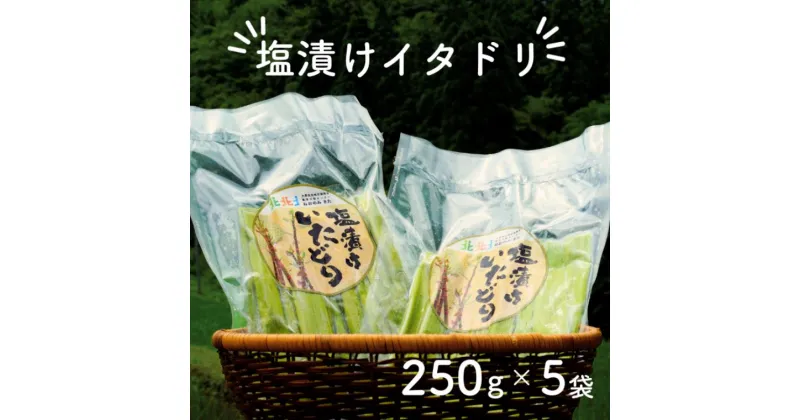 【ふるさと納税】 山菜 イタドリ 冷凍 塩漬け 250g × 5セット 高知県産 いたどり 虎杖