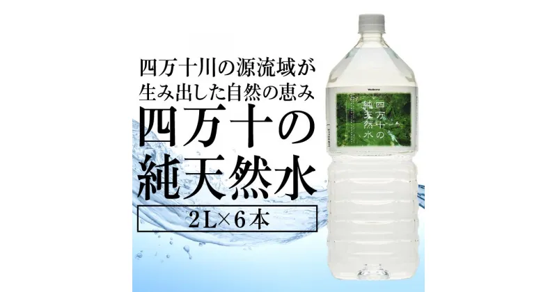 【ふるさと納税】 ミネラルウォーター 2L × 6本 1ケース ペットボトル 四万十 純天然水 水 軟水 2リットル 四万十川