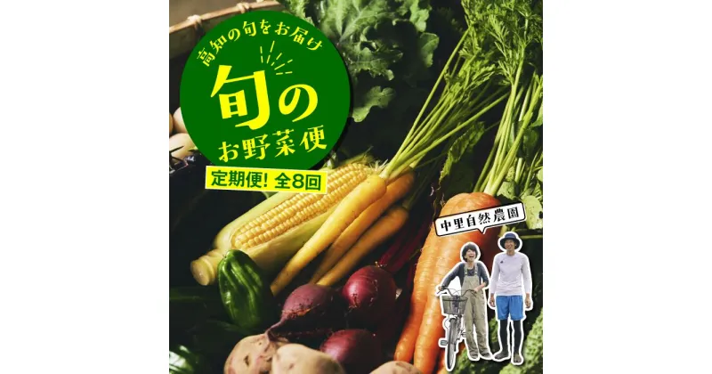 【ふるさと納税】 野菜 定期便 全8回 野菜詰め合わせ セット 8～10種 中里自然農園 旬のお野菜便 野菜セット 野菜の詰め合わせ 高知 新鮮 農薬不使用 化学肥料不使用 安心 旬 フレッシュ