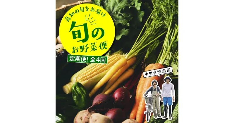 【ふるさと納税】 野菜 定期便 全4回 野菜詰め合わせ セット 8～10種 中里自然農園 旬のお野菜便 野菜セット 野菜の詰め合わせ 高知 新鮮 農薬不使用 化学肥料不使用 安心 旬 フレッシュ