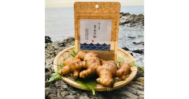 【ふるさと納税】 生姜の粉 乾燥パウダー 10g × 2袋 セット 国産 自然栽培 無農薬 化学肥料不使用 高知県