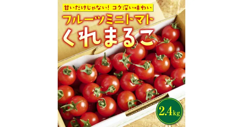 【ふるさと納税】 〈先行予約受付中〉 トマト フルーツミニトマト 2.4kg 『 くれまるこ 』 フルーツトマト 甘い 濃厚 美味しい 箱詰め 高知 久礼 宇井農園