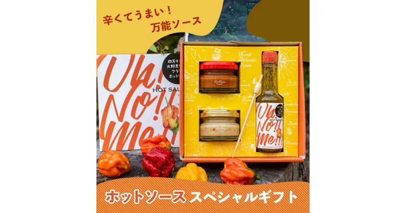 【ふるさと納税】 ホットソース ローストホットソース しょうがこしょう Oh! No!! Me!!! 3種 ギフト セット 調味料 唐辛子 トリニダード・スコーピオン 高知 大野見 四万十 野菜 辛い スパイシー ピザ パスタ 生姜 胡椒