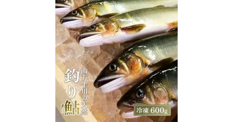 【ふるさと納税】 四万十川上流 の 天然鮎 釣り鮎 600g ( 冷凍 4～12尾 ) 鮎 あゆ アユ 川魚 高知県 四万十 天然 冷凍