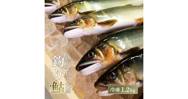 【ふるさと納税】 四万十川上流 の 天然鮎 釣り鮎 1.2kg ( 冷凍 5～18尾 ) 鮎 あゆ アユ 川魚 高知県 四万十 天然 冷凍