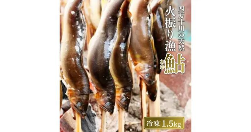 【ふるさと納税】 鮎 1.5kg 5～18尾 冷凍 天然鮎 火振り漁 四万十川 上流 天然 あゆ 新もの 川魚 高知県 四万十 天然 冷凍