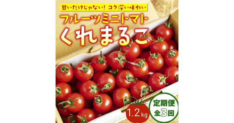 【ふるさと納税】 定期便 3回 フルーツミニトマト 1.2kg 『 くれまるこ 』 フルーツトマト とまと トマト ミニトマト 甘い 濃厚 美味しい 箱詰め 高知 久礼 宇井農園