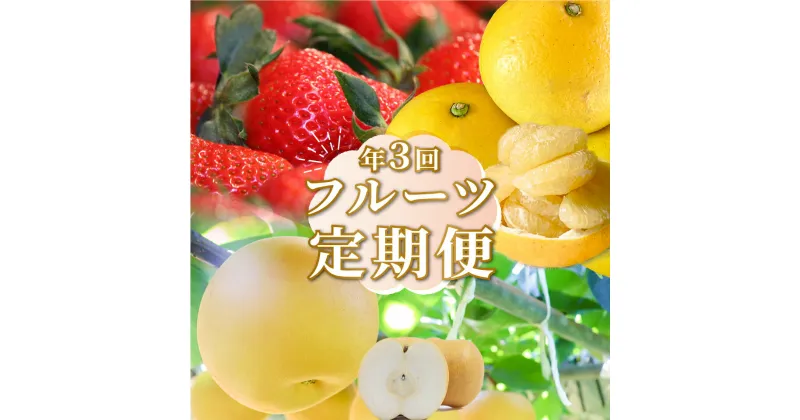 【ふるさと納税】＜フルーツ 定期便（全3回）＞ いちご 土佐文旦 梨 fruit 苺 おすすめ フレッシュ 旬 果物 くだもの 高知県 佐川町産【常温】【冷蔵】＜2025年イチゴまたは文旦から発送＞