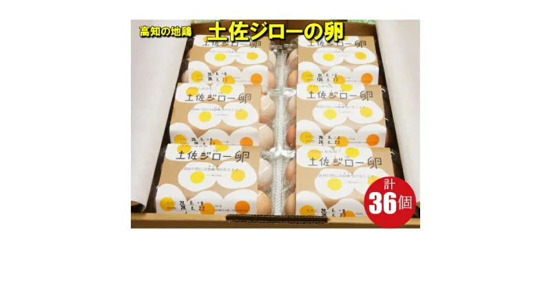 【ふるさと納税】＜土佐ジローの卵　6個パック×6（36個）＞高知県 佐川町 もちおのしっぽ【冷蔵】 高知県 佐川町 もちおのしっぽ【冷蔵】有精卵 平飼い 放し飼い ポストハーベスト農薬フリー（PHF ）飼料 非遺伝子組み換え飼料 使用 ブランド卵