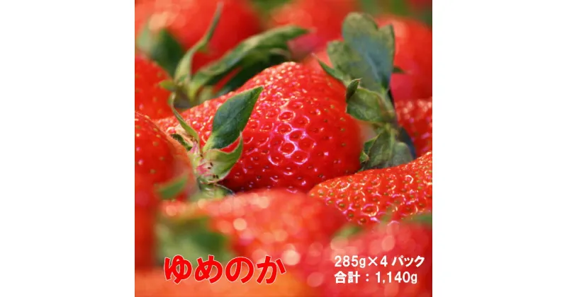 【ふるさと納税】＜ゆめのか 285g×4パック 合計1,140g＞ いちご 苺 果物 フルーツ 果実 贈答用 ギフト 旬 イチゴ ストロベリー 【冷蔵】高知県 佐川町 JA　＜2025年1月下旬～3月下旬頃発送予定＞