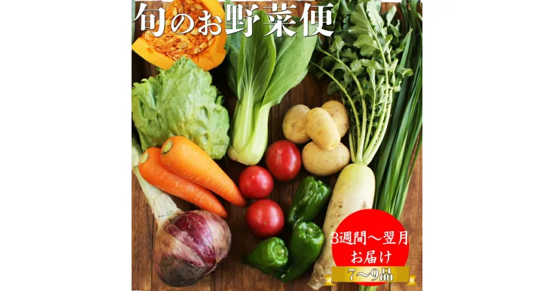 【ふるさと納税】＜南国高知から直送！旬の季節のお野菜セット（7～9品）＞高知県 佐川町 野菜便 詰め合わせ 旬の時期にお届け こうち育ち【冷蔵】