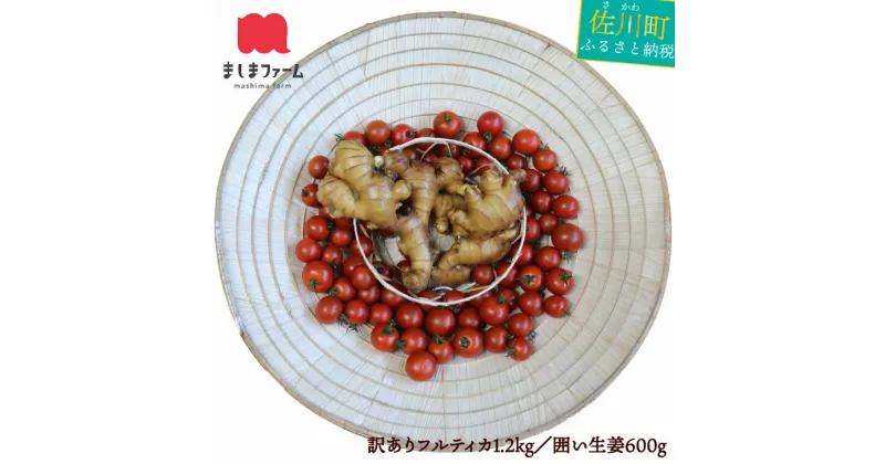 【ふるさと納税】＜トマトと囲い生姜のセット 訳あり・規格外品（トマト1.2kg+生姜600g）＞ 【常温】送料無料 薬味 高知県産 しょうが ショウガ ジンジャー とまと 野菜 ましまファーム アイメック【毎年12月～7月頃まで発送】