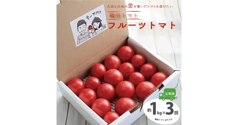 【ふるさと納税】＜フルーツトマト 定期便 織田トマト 約1kg ×3回 計3kg 真っ赤なフルーツ太陽＞【先行予約受付中】高知県 佐川町 細胞が喜び命が輝く大空と大地の愛を繋ぐ サイズ混合 連続3ヶ月お届け予定 ＜毎年2月末頃まで申込受付＞＜1月頃から発送開始＞