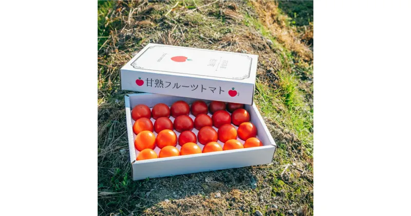 【ふるさと納税】【 12月下旬～5月頃発送 】＜フルーツトマト 原田農園 約1,800g 大箱＞【先行予約受付中】桃太郎 当期分は毎年4月上旬頃まで申込受付【常温】送料無料