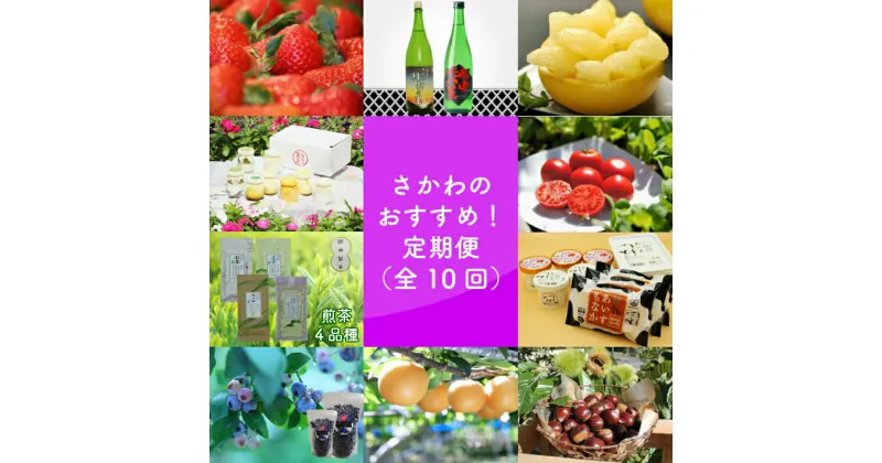 【ふるさと納税】＜佐川のおすすめ！定期便（全10回）＞日本酒 いちご 文旦 フルーツトマト 煎茶 司牡丹酒造 プリン 地乳 シャーベット 和梨 梨 和栗 ぢちち アイス 苺 夢甘栗 高知県 新高梨 あきづき 栗 朝ドラらんまんモデル 牧野富太郎のふるさと佐川町から直送