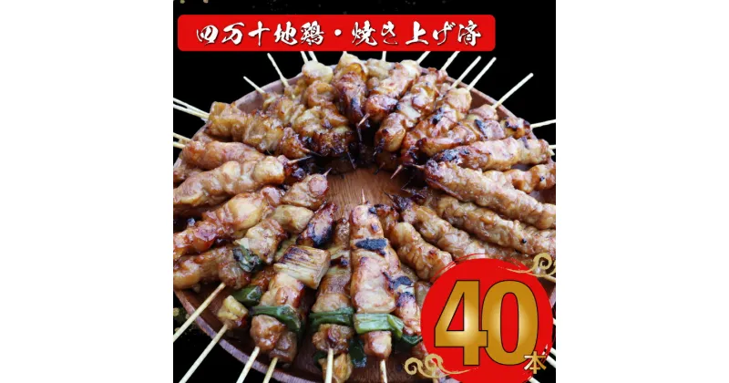 【ふるさと納税】【たれ】四万十鶏の炭火やきとり 計40本 国産鶏 焼き鳥 焼鳥串 5種（せせり もも にんにくま ねぎま かわ 各1本）5本1袋 ×8パック 銘柄鶏 盛り合わせ【冷凍】 タレ付 レンジでチンするだけ 時短 家飲み 日鶏 hidori