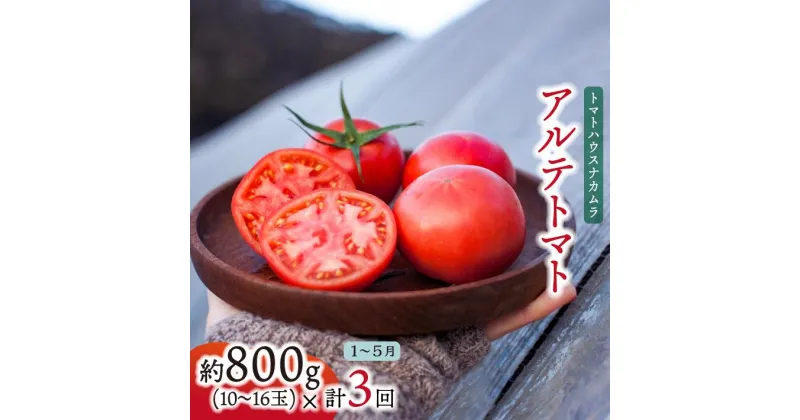 【ふるさと納税】【年3回 定期便】＜アルテトマト 約800g（10‐16玉）×3箱＞計約2.4kg フルーツトマト 栽培期間中化学農薬・化学肥料不使用 高知県 トマトハウスナカムラ 【常温】（1～5月頃発送）