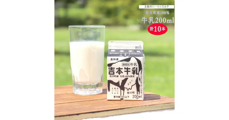 【ふるさと納税】＜吉本牛乳（さかわの地乳） 各200ml 合計10本＞牛乳 吉本乳業 高知県 佐川町【冷蔵】成分無調整 佐川町産生乳100％ ぢちち NHKあさイチで紹介 ご当地牛乳