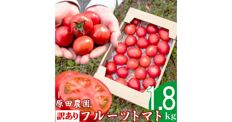 【ふるさと納税】【12月下旬～5月頃発送】＜訳あり フルーツトマト 原田農園 1.8kg 箱入＞【先行予約受付中】桃太郎 当期分は毎年4月上旬頃まで申込受付【常温】送料無料 家庭用 ワケあり 変形 キズあり 高知県