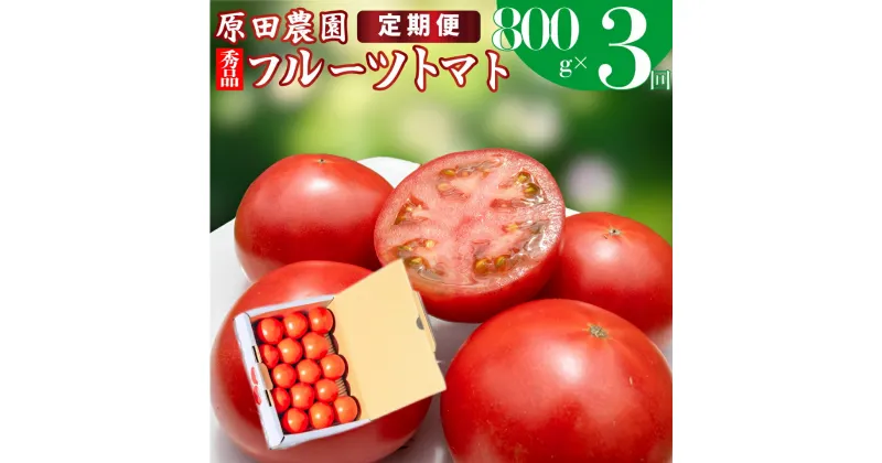 【ふるさと納税】 定期便3回【 12月下旬～5月頃発送 】＜フルーツトマト 原田農園 約800g 小箱＞桃太郎 【常温】送料無料 ＜2024年12月下旬頃より発送＞＜毎年12月上旬頃まで申込受付＞