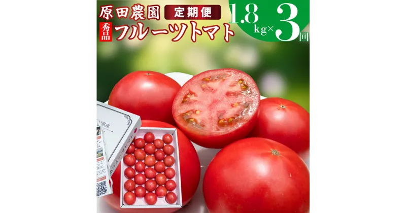 【ふるさと納税】定期便 3回【 12月下旬～5月頃発送 】＜フルーツトマト 原田農園 約1,800g 大箱＞桃太郎【常温】送料無料＜2024年12月下旬頃より発送＞＜毎年12月上旬頃まで申込受付＞