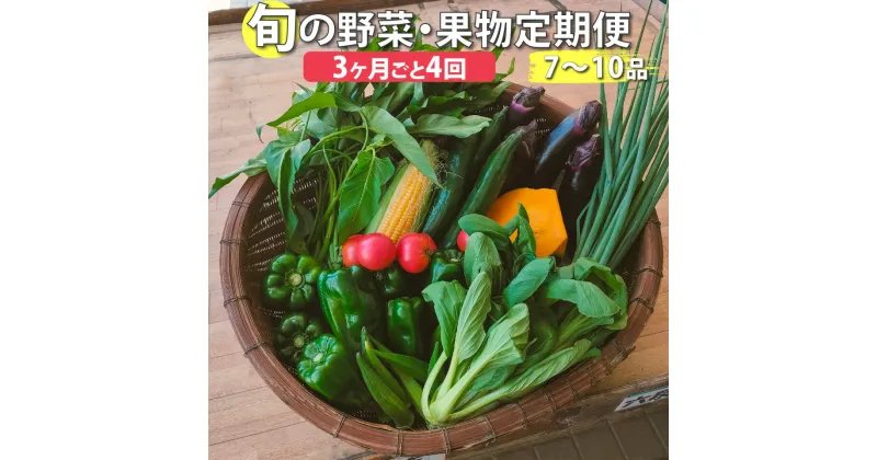 【ふるさと納税】＜年4回 定期便はちきんの店 野菜 セット 7~10品＞ 野菜詰め合わせ 詰合せ 高知の野菜 旬の野菜【冷蔵】高知県 佐川町