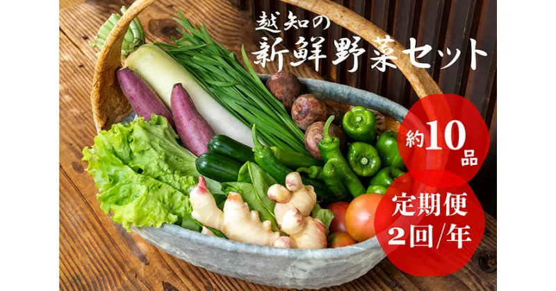 【ふるさと納税】越知産市の季節の野菜セット(年2回発送)　産地直送　旬野菜　野菜セット 野菜便 詰め合わせ 旬の時期にお届け 2回目以降、着日時間指定可能【冷蔵】こうち育ち 事業者応援 農家支援 食料自給率UP