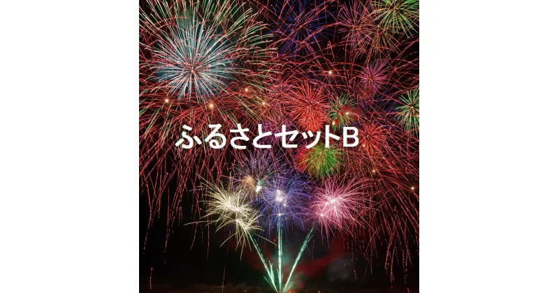 【ふるさと納税】越知町ふるさとセットB